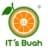 IT's Buah